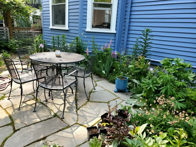 A backyard patio with a black metal table and four matching chairs, surrounded by green plants and flowering bushes, next to a blue house with two windows.