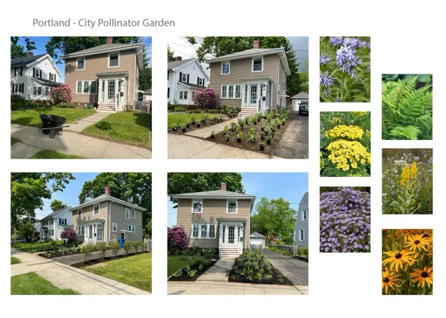 work photo from wildnectarlandscaping.com