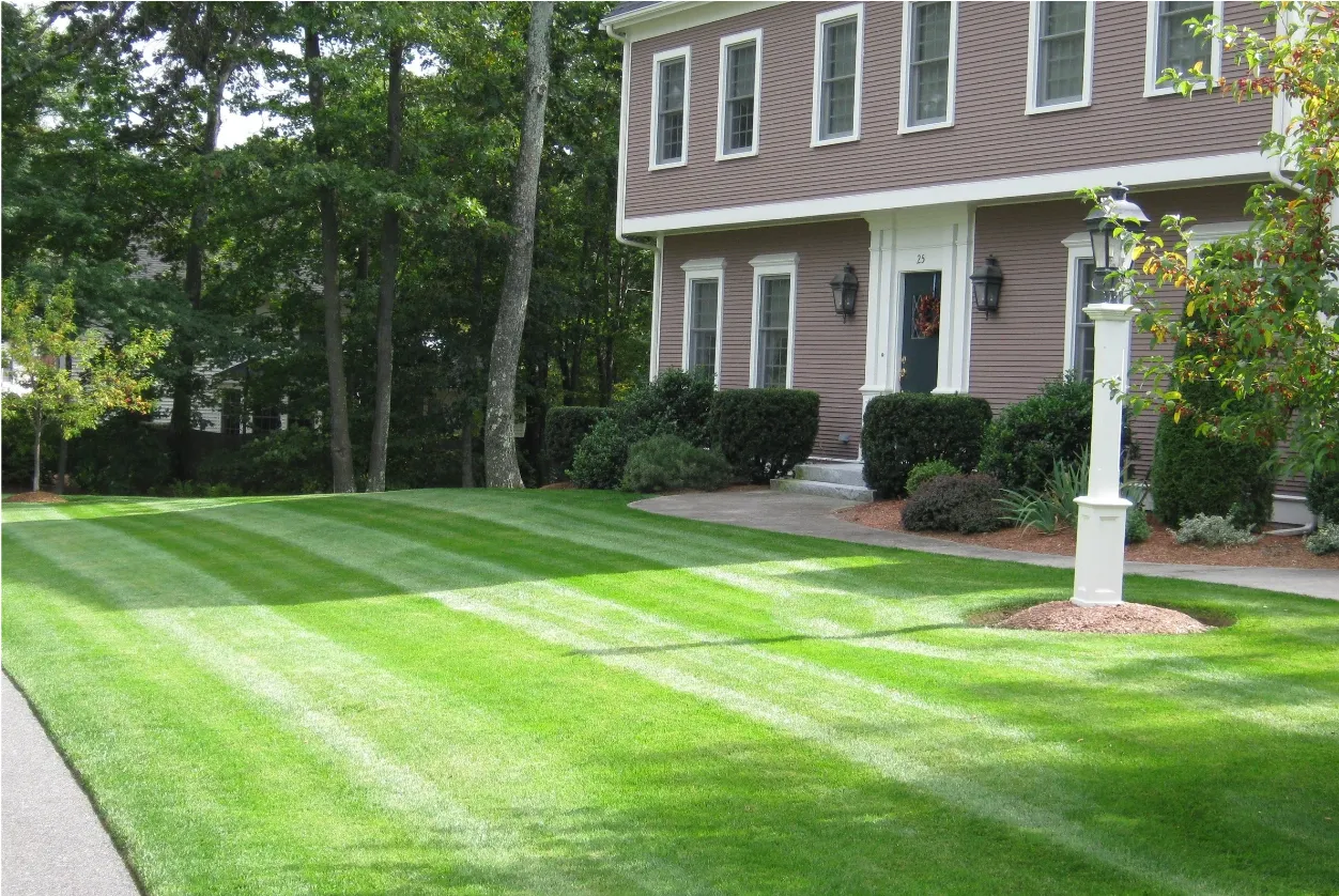 Rutland Turfcare & Pest Control