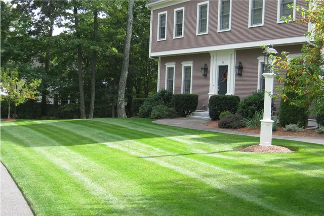 Rutland Turfcare & Pest Control