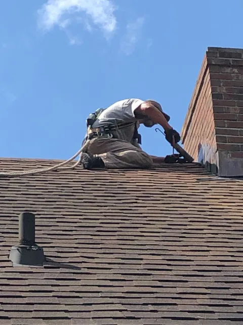 On site Roof Securing - Acorn Wildlife Solutions - Russell, MA