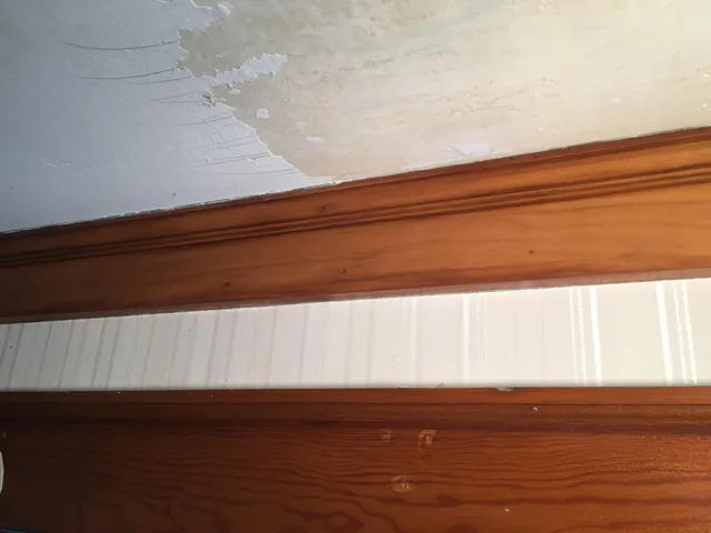 work photo from professionalpaintplus.com