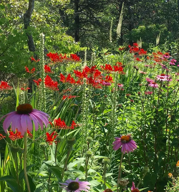 Harrow & Seed work photo