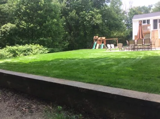 LAWN