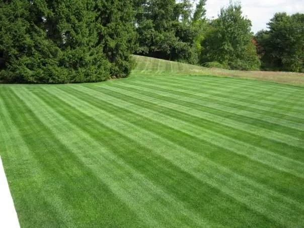 Rutland Turfcare & Pest Control