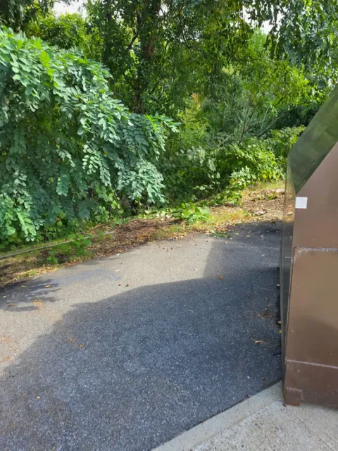 The same spot cleared after the pallets were hauled away