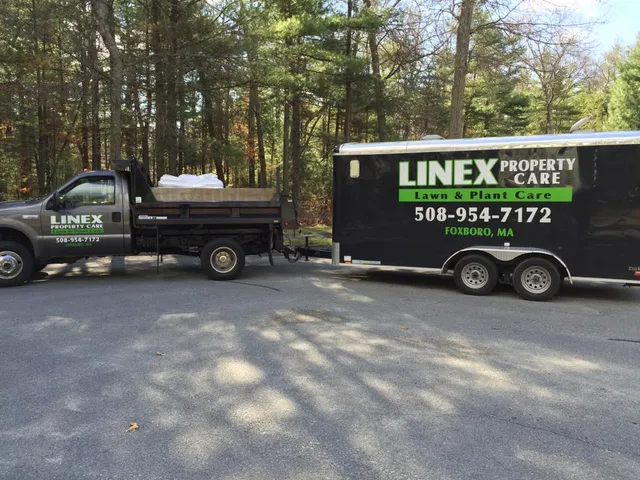 Linex Property Care work photo