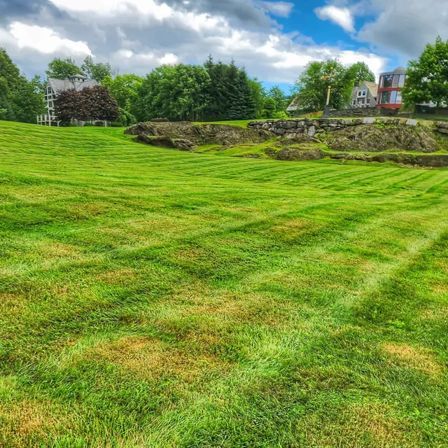 Lawn Rangers work photo