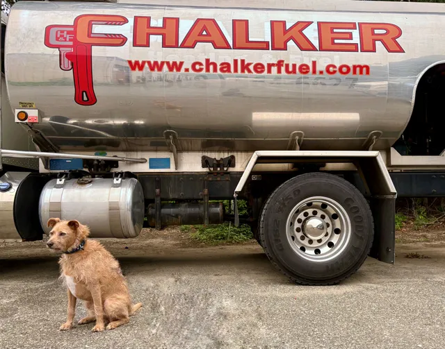 A great way to start our week, with dogs and oil trucks!