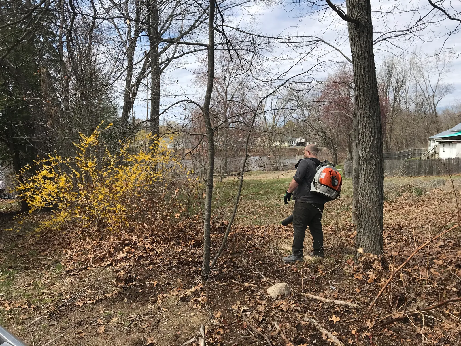 work photo from Google listing