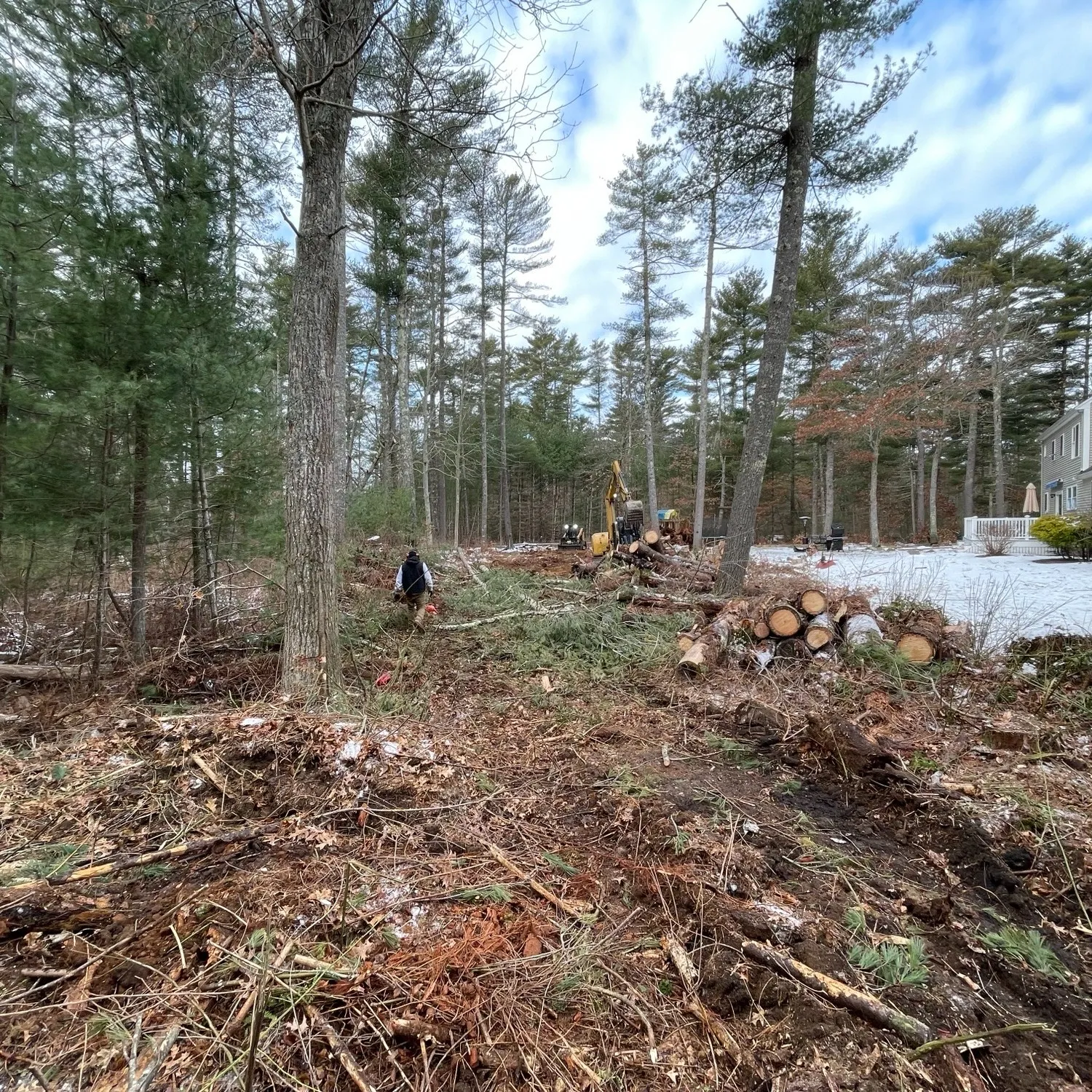 Land clearing with excavator and chainsaw crew in wooded area