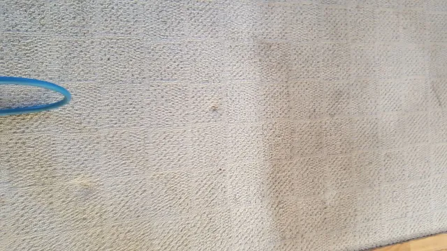 a close up of a carpet with a blue brush on it