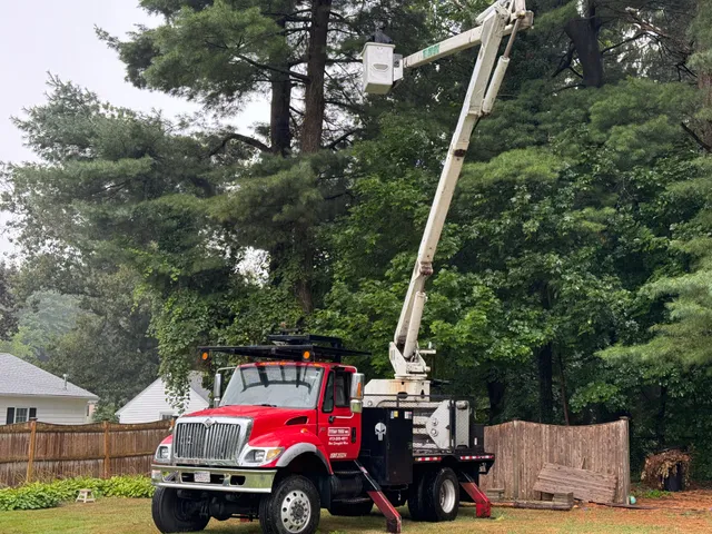 Titan Tree Inc. work photo