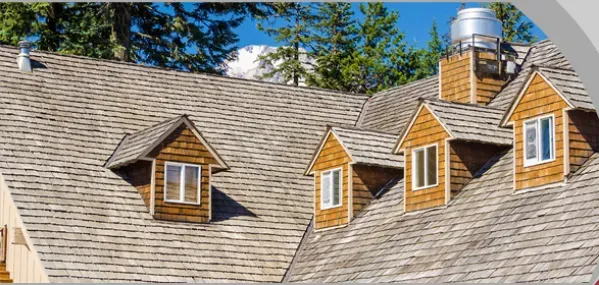 Tunnera Roofing work photo