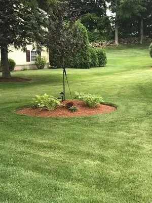 Precision Landscaping researched project photo