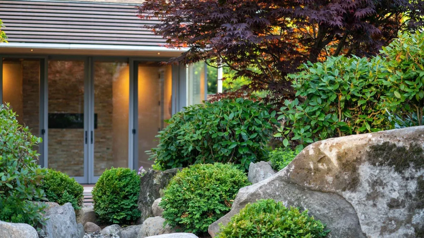 Modern Zen garden with Japanese maple, stone boulders, and lush evergreen shrubs framing a contemporary studio designed by Land Design Associates in Massachusetts.