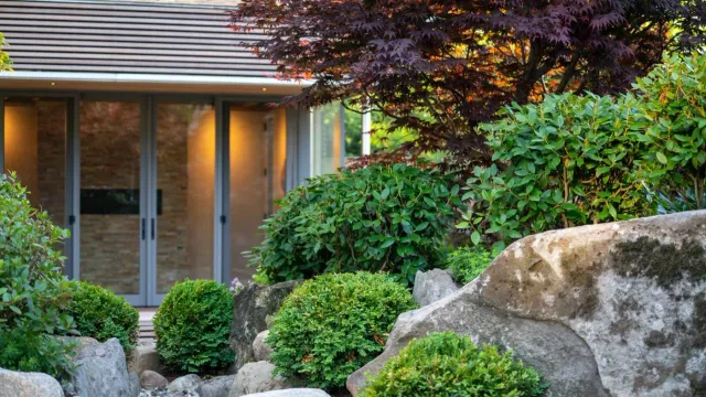 Modern Zen garden with Japanese maple, stone boulders, and lush evergreen shrubs framing a contemporary studio designed by Land Design Associates in Massachusetts.