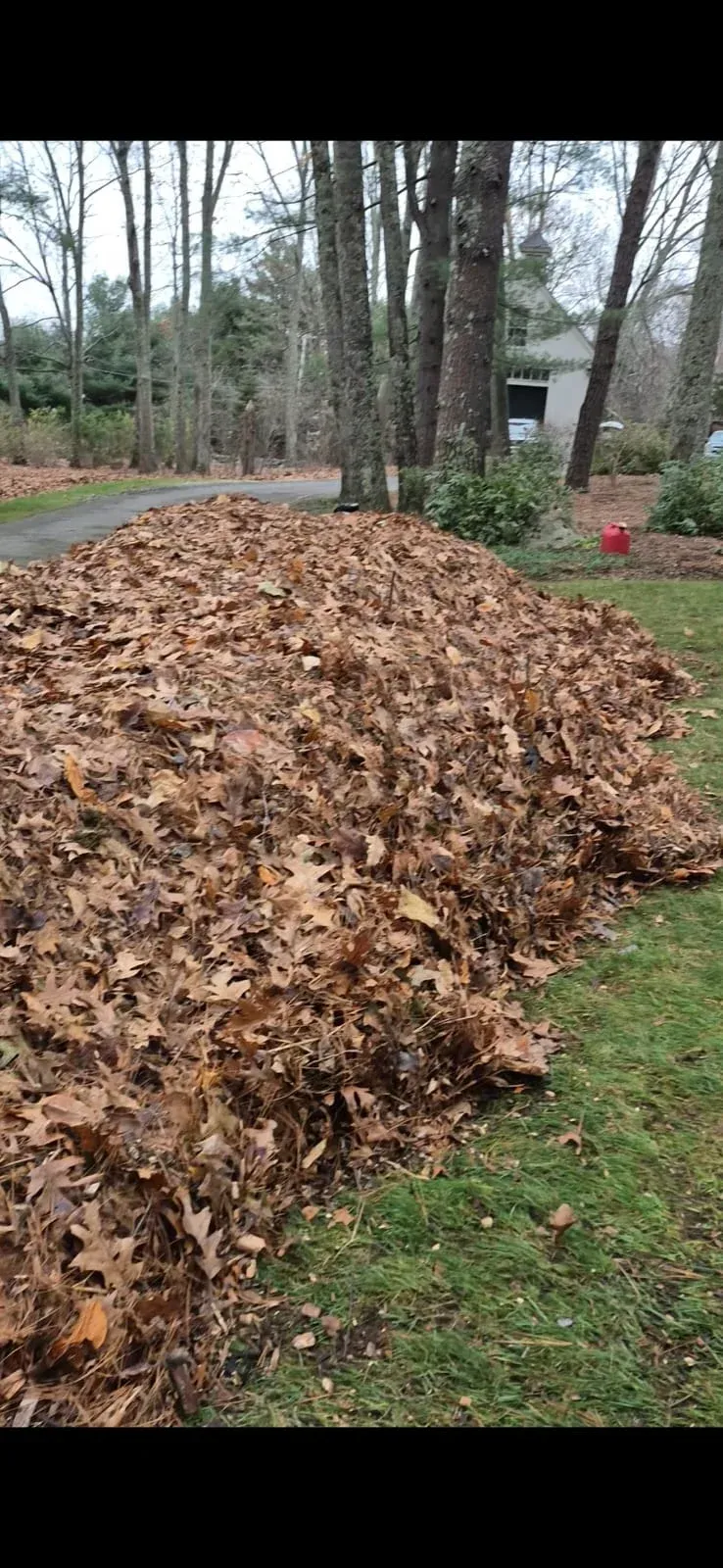 work photo from naturetouchlandscaping.com