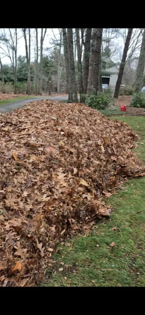 work photo from naturetouchlandscaping.com