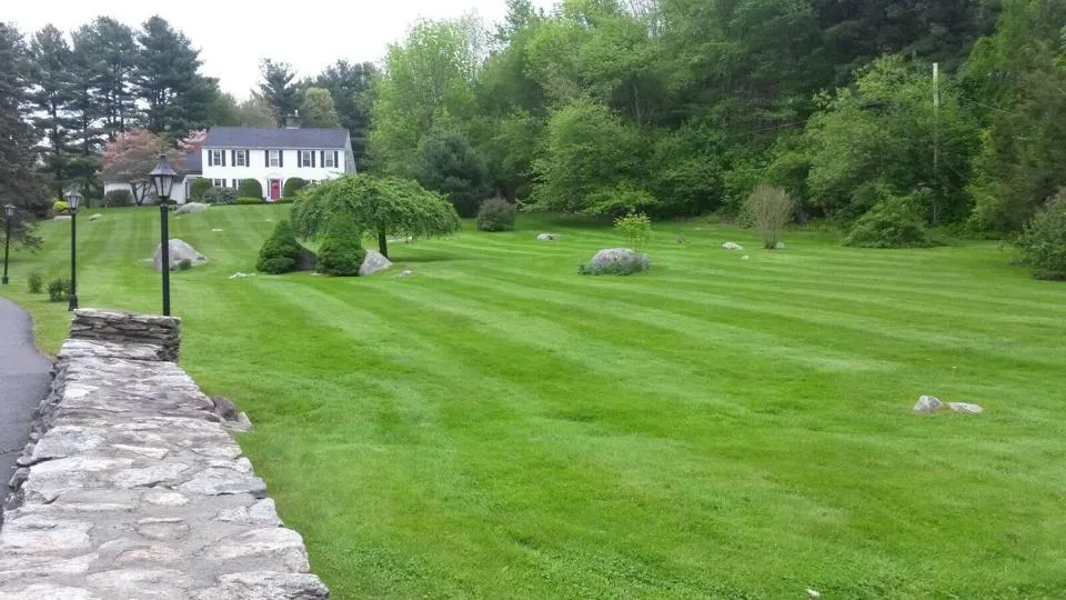 Simply Safer Premium Lawn Care Inc.