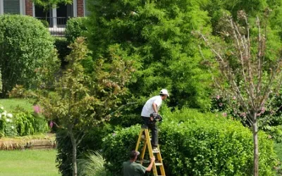 Distinctive Landscaping, Inc. researched project photo