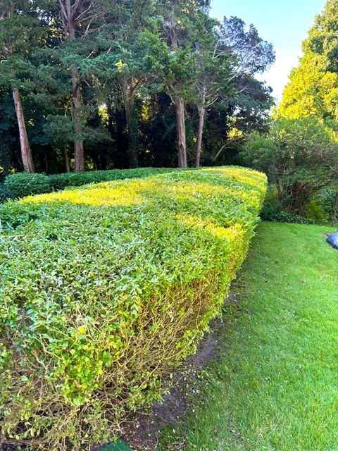 work photo from thlandscapedesign.com