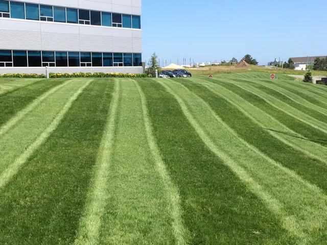 Grassmaster Plus work photo