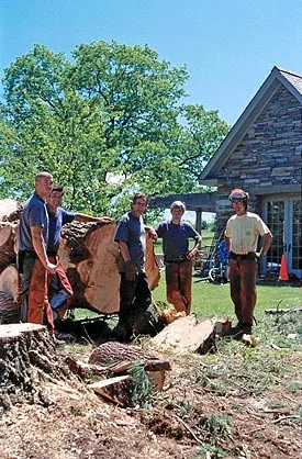 work photo from gallaghertreeandlandscape.com