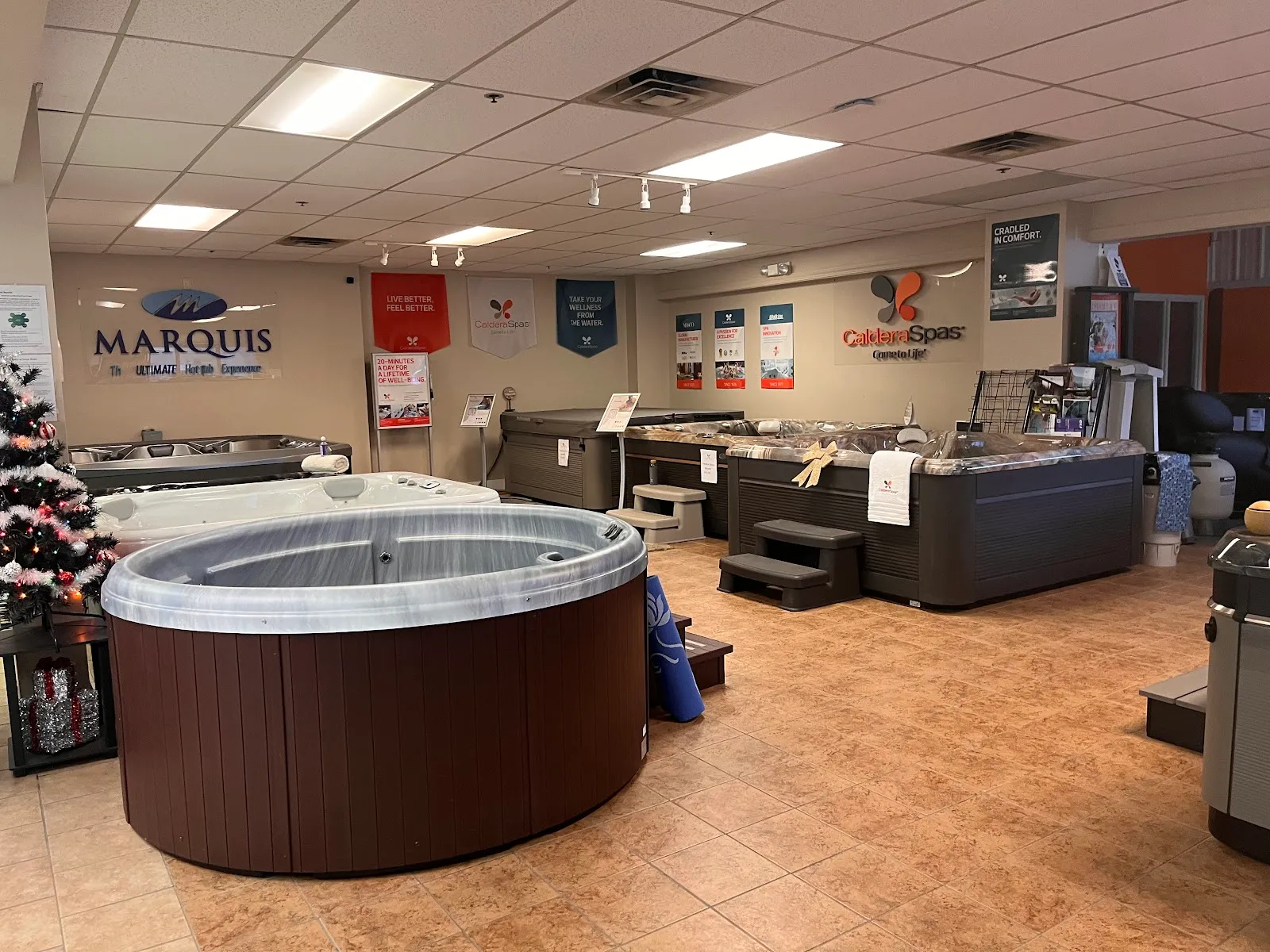 Apollo Pools and Spas