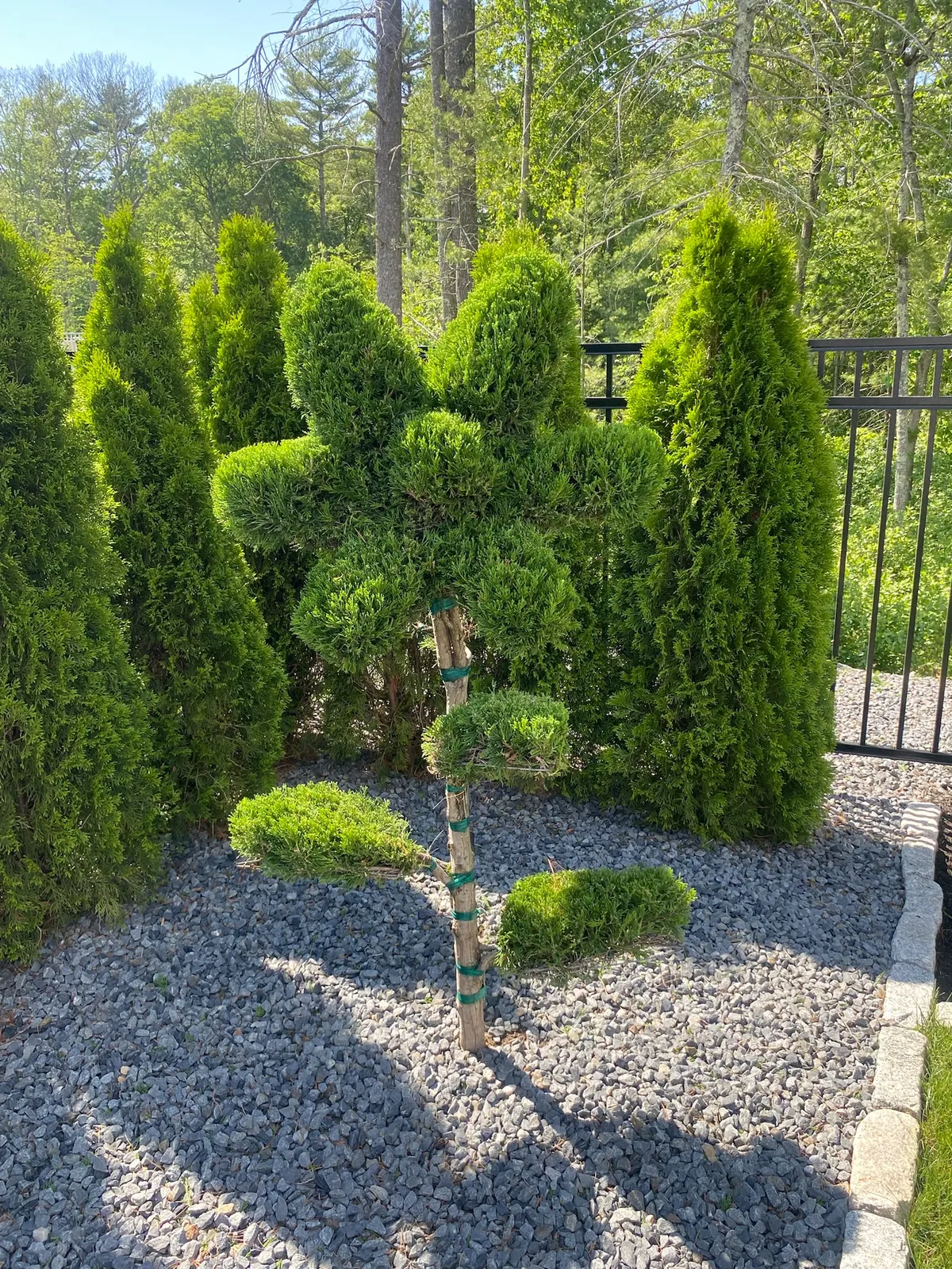 Brandon Landscaping, Inc.