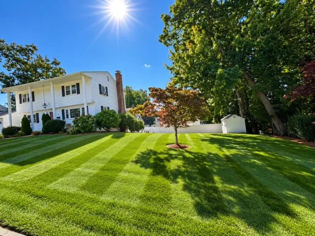 White two-story colonial house with black shutters on a manicured lawn under bright sunshine with mature trees