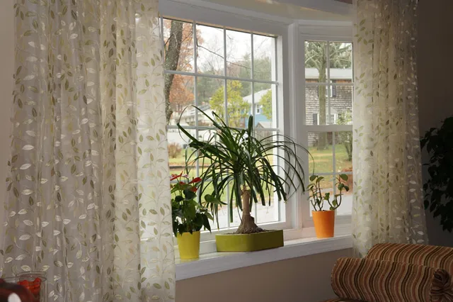 Window nook with sheer patterned curtains, a potted ponytail palm, and a view of the backyard, finished with a striped accent chair nearby.