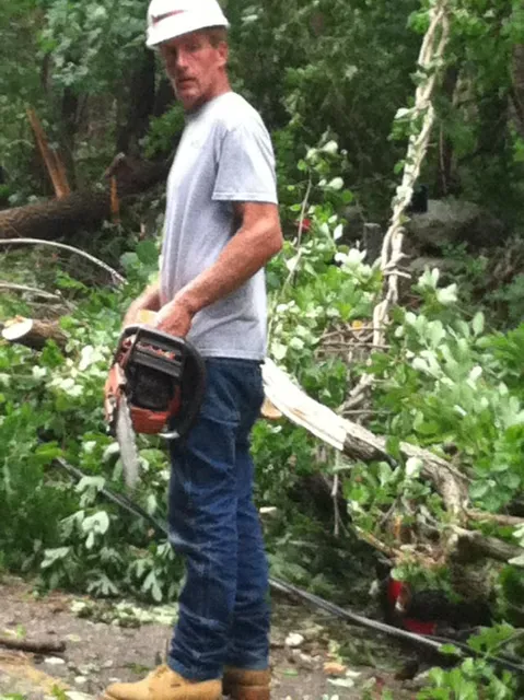 work photo from rttreeremoval.com