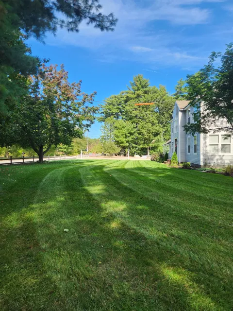 A well-maintained front yard with lush green grass, bordered by trees and a white house on the right, under a bright blue sky with some clouds.
