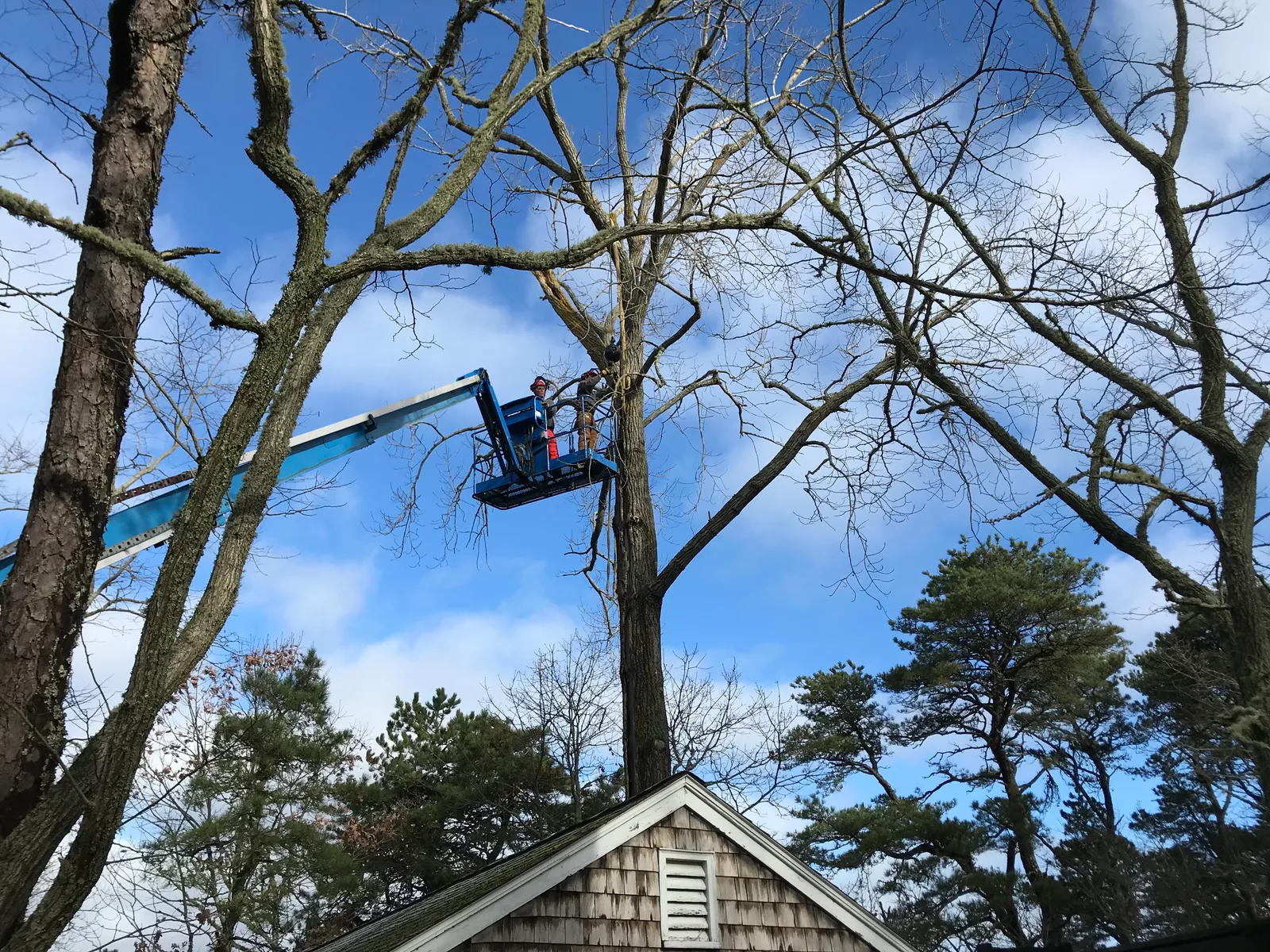 work photo from Google listing
