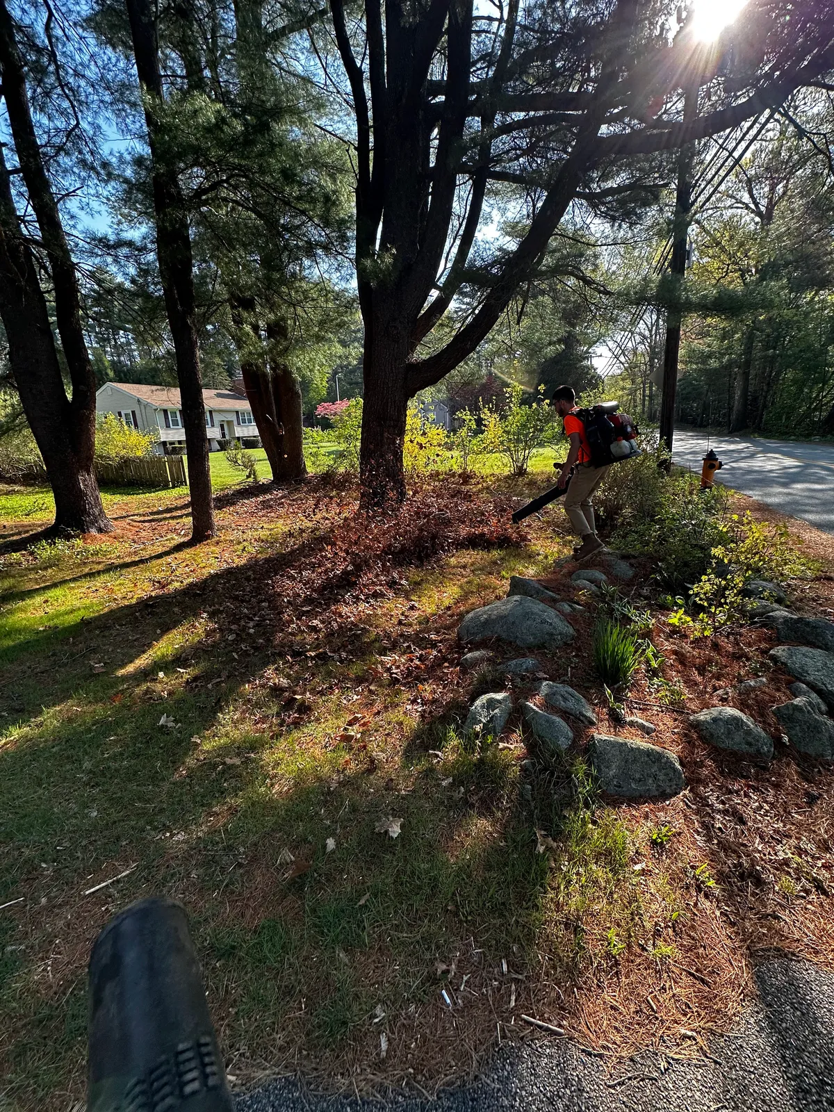 work photo from Google listing