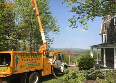work photo from hmflagg.com