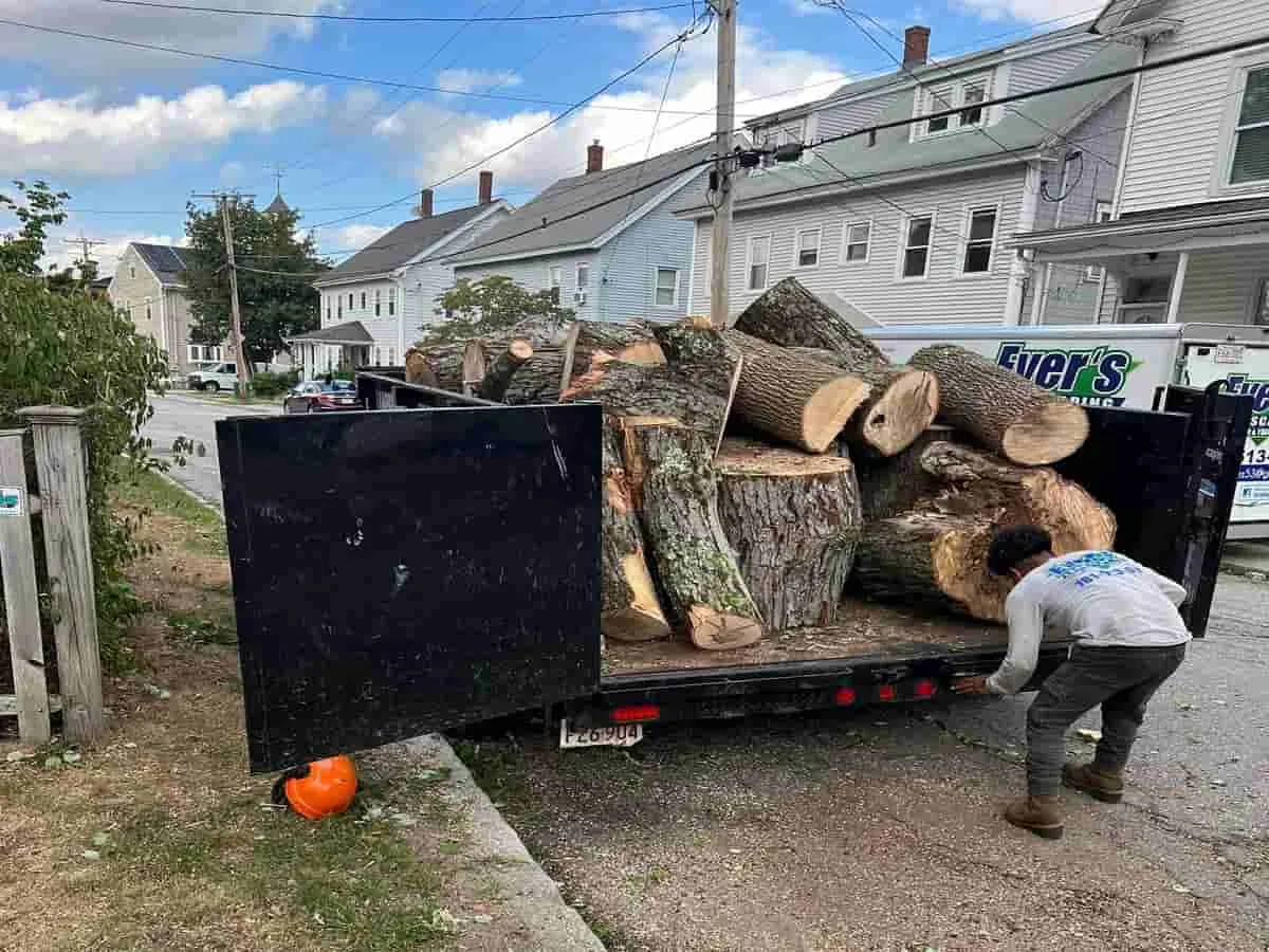 work photo from everslandscaper.com