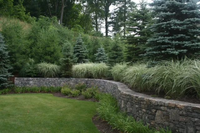 PROFESSIONAL MAINTENANCE  Strong partnerships with HOA’s, Property Managers, and residential homeowners.