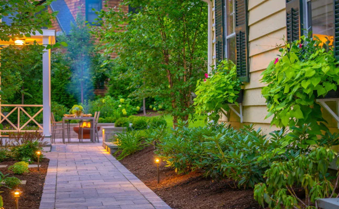 Pavers, walkway, planting, birch, path lighting, pergola
