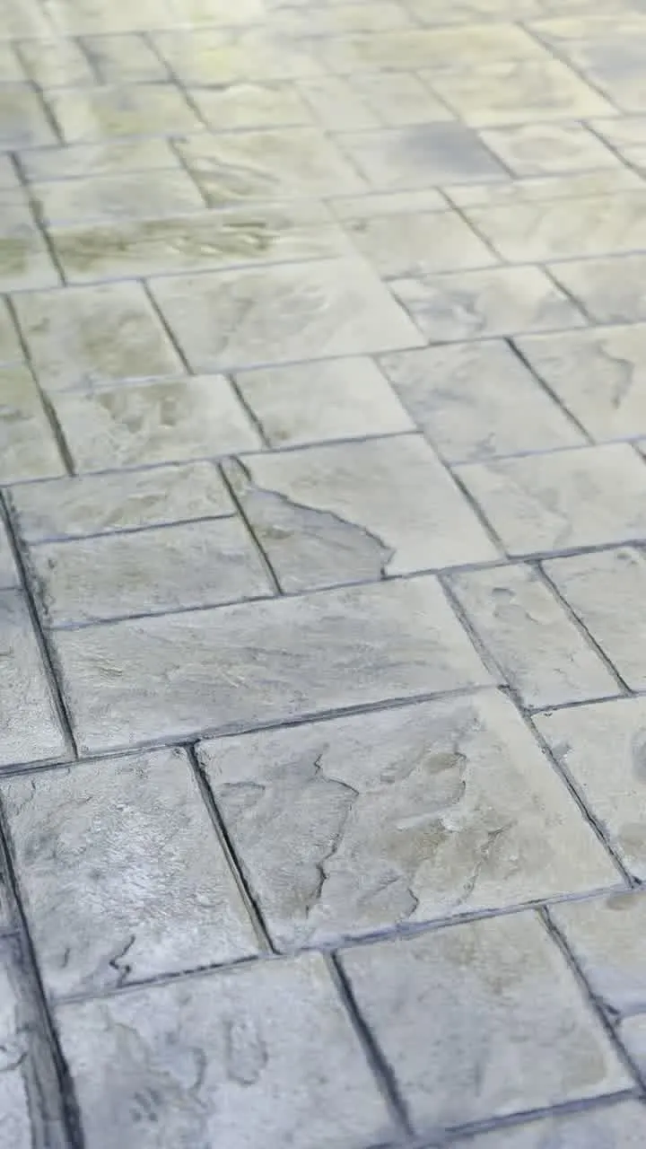 Patio Services