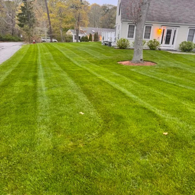 Camara&Son Landscaping work photo