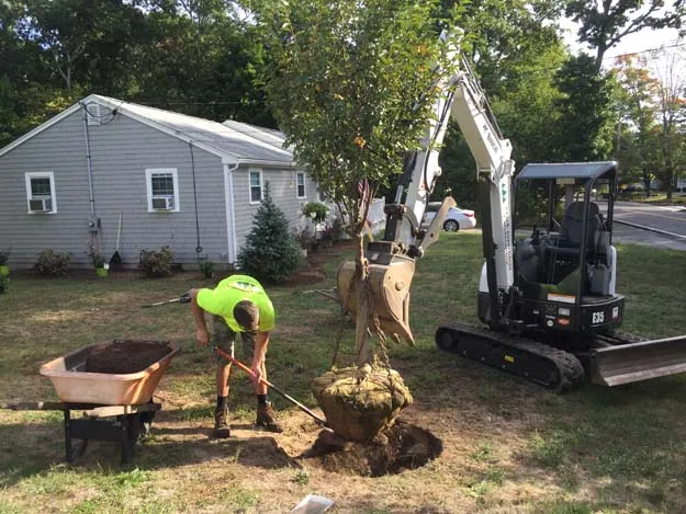 work photo from markinvernizzilandscaping.com