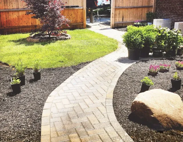 BACKYARD PATIO REDESIGN