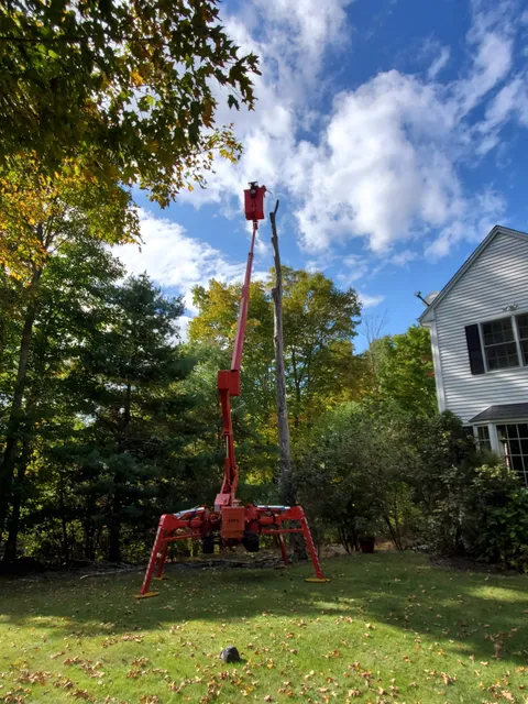 Blackstone Landscaping & Tree Service work photo