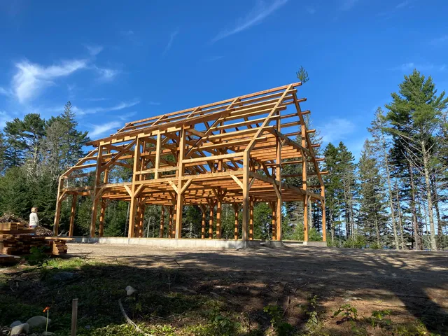 trees to timber frames work photo