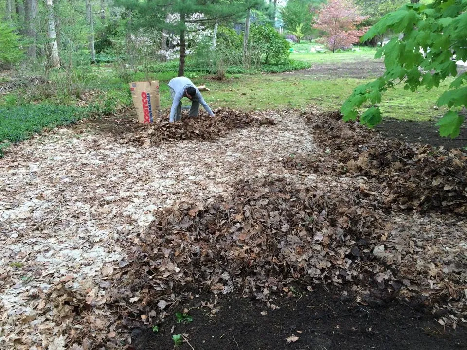 Gardner's Landscaping researched project photo