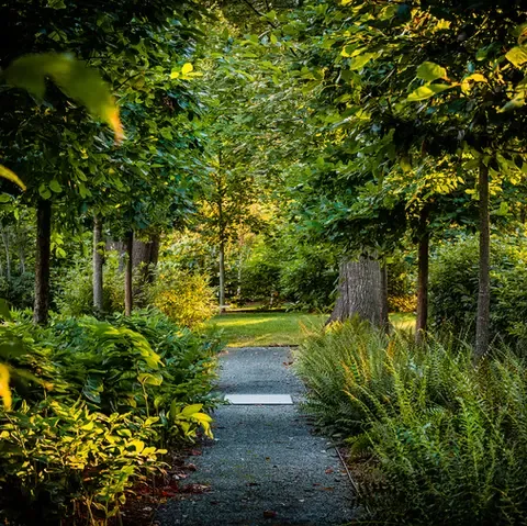 work photo from landscapefieldwork.com
