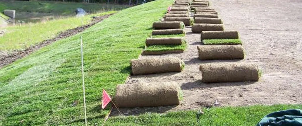 work photo from modernlandscapinganddesign.com