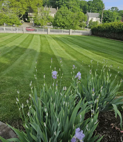 work photo from calislandscapeconstruction.com